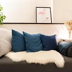 春の屋